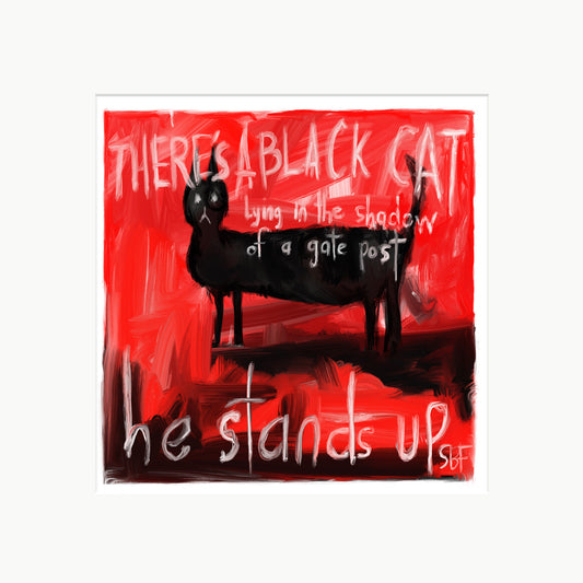 There's A Black Cat