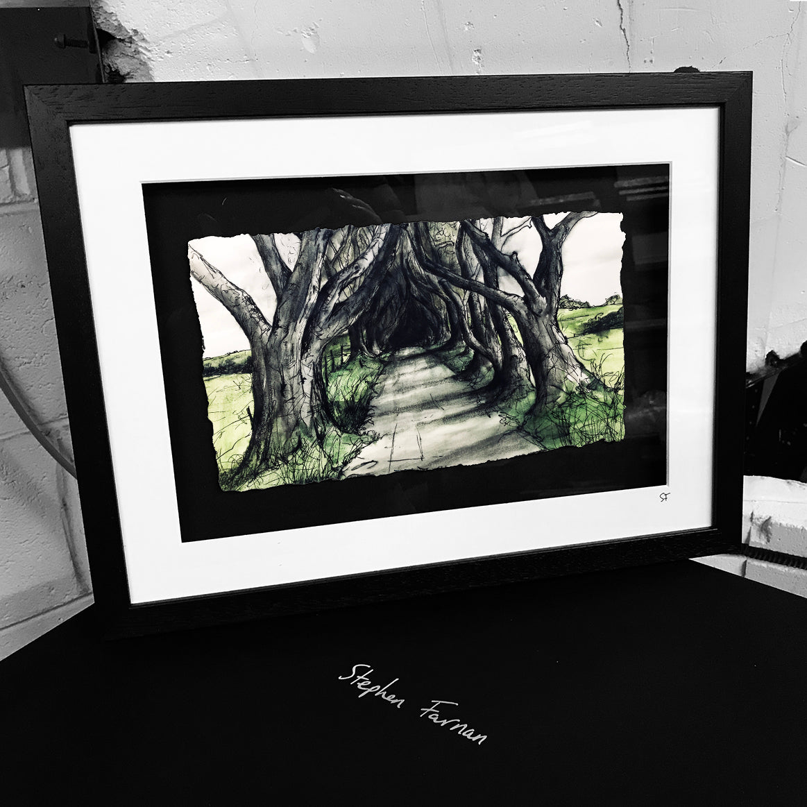 The Dark Hedges
