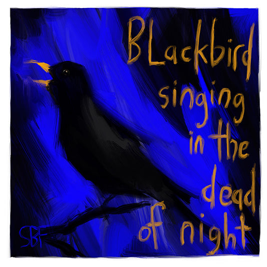 Blackbird Singing In The Dead Of Night