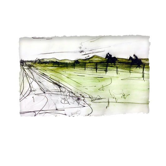 The Curragh
