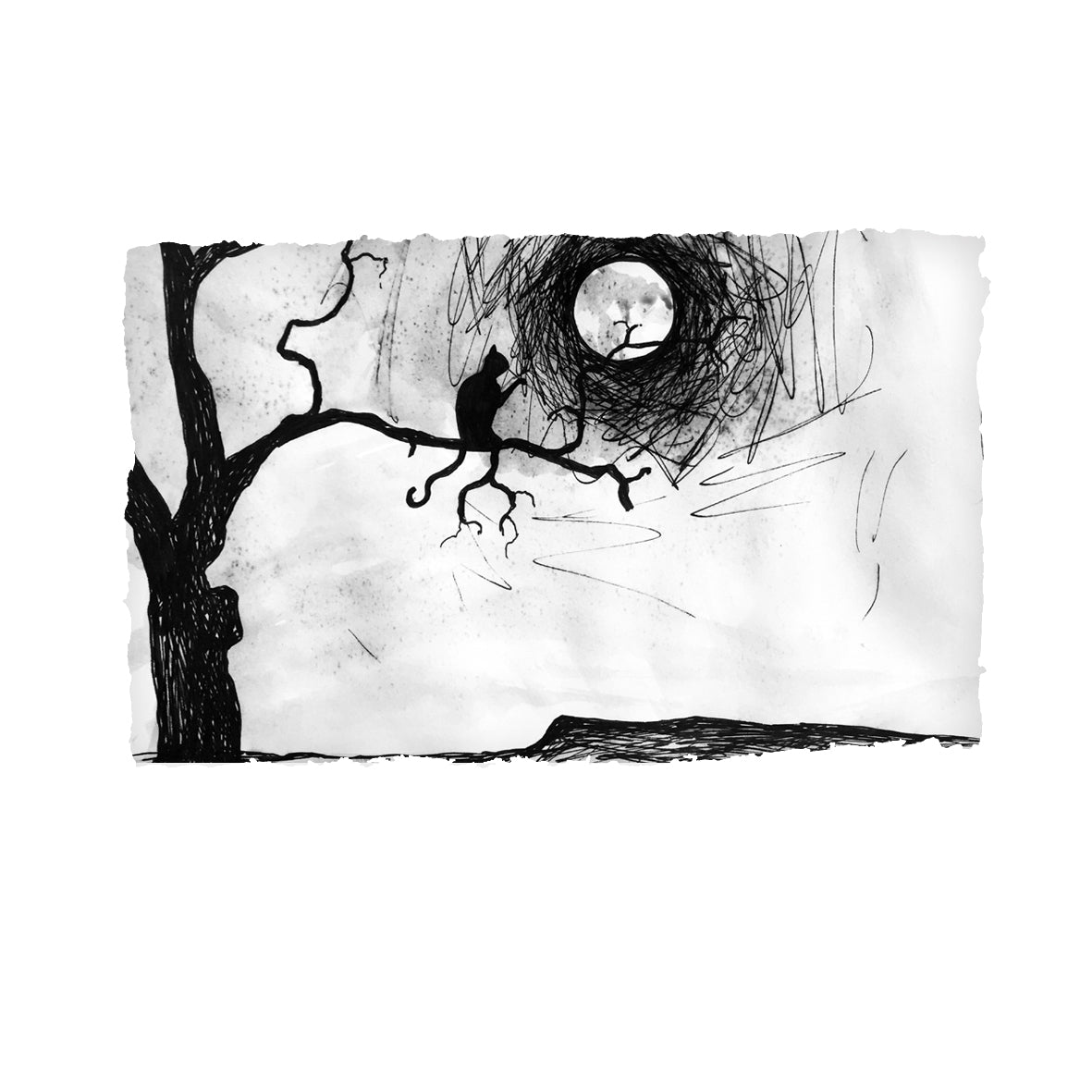 The Cat and the Moon