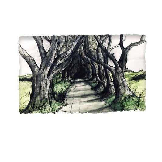 The Dark Hedges