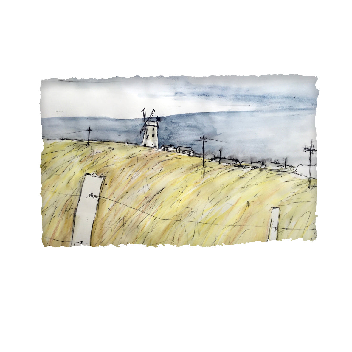 Fields of Gold
